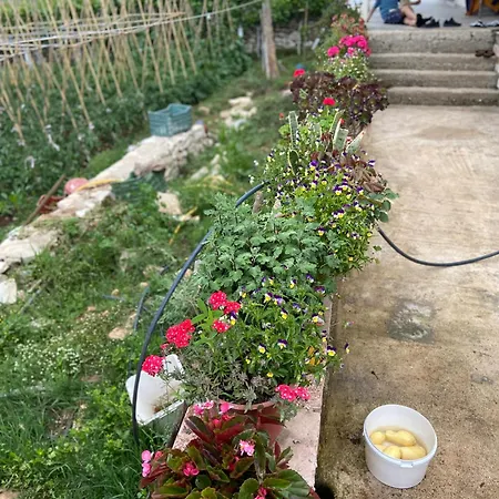 Haven Country house Delvine